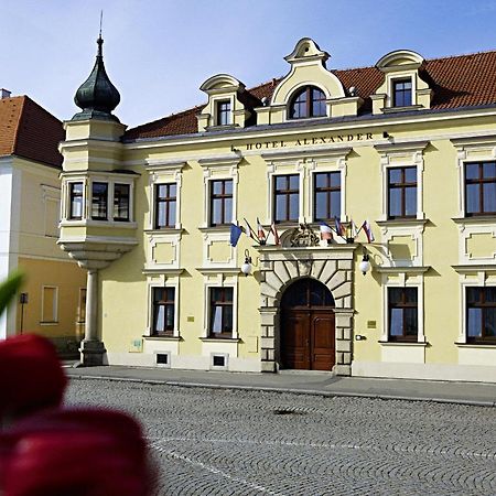 Alexander Otel Stříbro Dış mekan fotoğraf